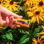 KODAK Charmera Keychain Digital Camera (BLIND BOX) - Image 6